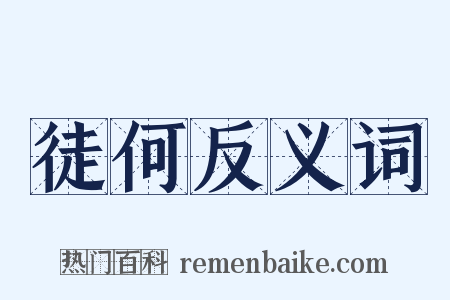 徒何反义词是什么意思的图片